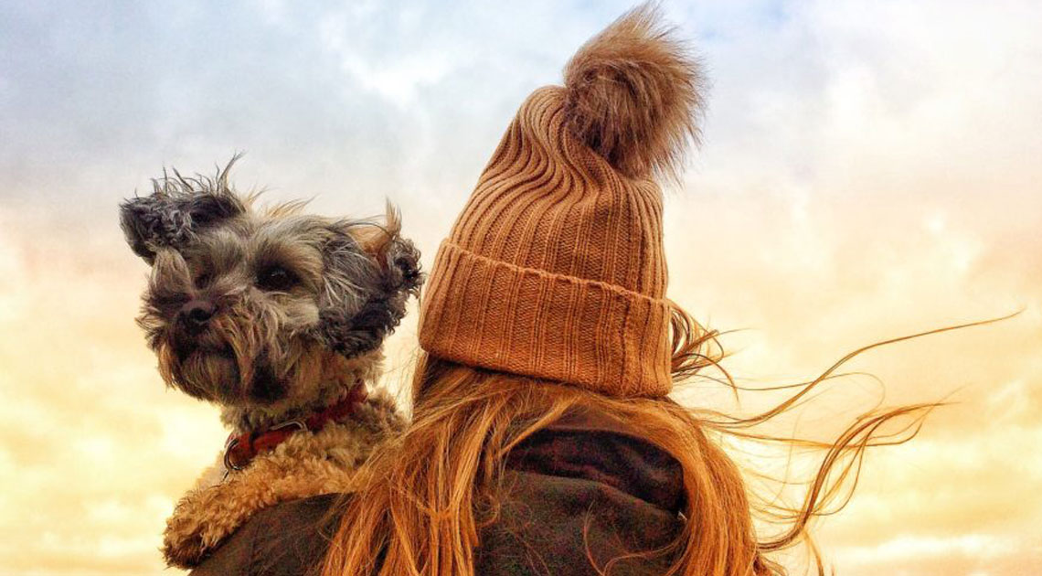 Traveling Pet